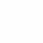 Salus Logo